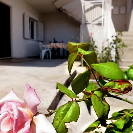 Jadro Apartment *